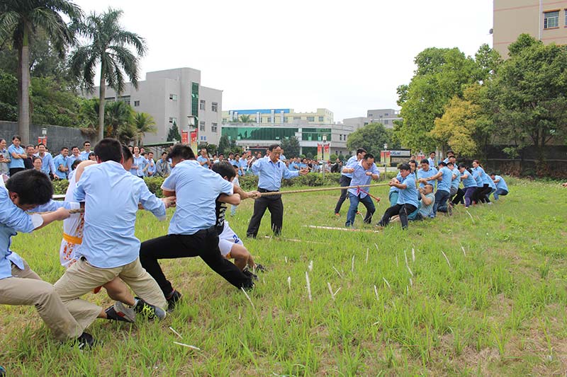 拔河比賽